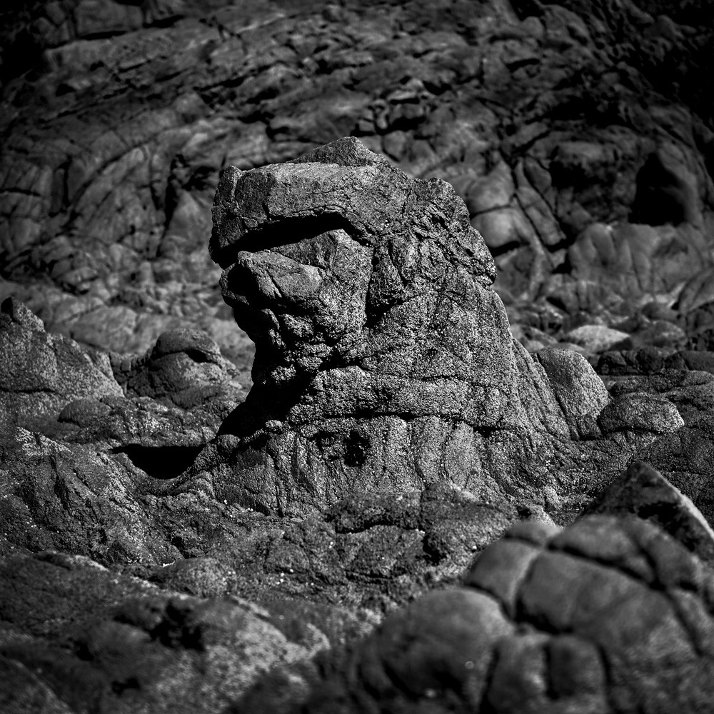 Cette exposition fût présentée lors du mois de la photographie à Equeurdreville (Cotentin) en 2014.Comme un tailleur de pierre, la nature a façonné un monde imaginaire, transformant le paysage en une oeuvre d’art équilibrée et contrôlée. Je n’ai photographié que ceux qui me parlaient, comme des apparitions fantasmagoriques, un clin d’oeil, un frisson, un sourire complice. Libre à vous de découvrir ces formes secrètes, ces visages sculptés par les éléments aux traits parfois révélateurs.