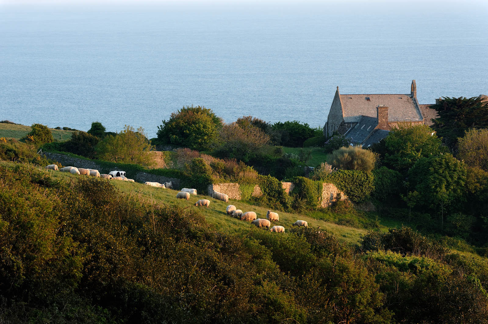 Le prieuré de VauvilleLe village de Vauville fait partie des sites classés de la Hague, Cap Cotentin. Les Pierres Pouquelées, galerie néolithique, sont un témoignage de l'Antiquité.La mare de Vauville est une réserve naturelle. Créée en 1976 c'est l'une des 135 réserves naturelles de France. Géré par le Groupe Ornithologique Normand depuis 1983, c'est un marais d'eau douce protégé de la mer par un étroit cordon dunaire. La mare de Vauville fait 62 ha, il y a plus de 150 espèces d'oiseaux ainsi que de 350 plantes et 16 espèces de batraciens.Un édifice autrefois religieux domine le village. C'est le prieuré de Vauville construit dans les landes, sur le haut d'une colline.Créé par Eric et Nicole Pellerin en 1947, l'exceptionnel jardin botanique du château de Vauville occupe plus de 40 000 m2. Abritant plus de 1000 espèces de l'hémisphère austral, le jardin entoure le château de Vauville dans une ambiance subtropicale tout à fait surprenante.