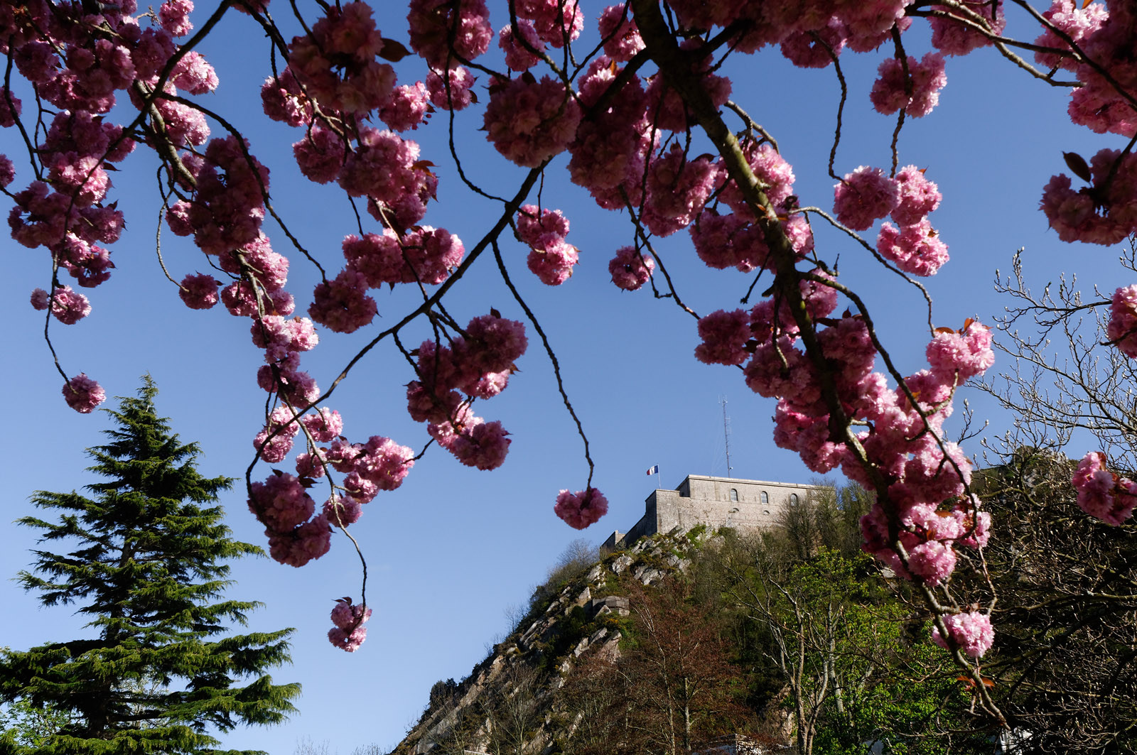 Une ville résolument tournée vers la mer.Cherbourg-en-Cotentin est située dans la presqu'île du Cotentin, à la pointe Ouest de la Normandie. (ville-cherbourg.fr)Un lieu incontournable en Normandie : La Cité de la Mer (http:  www.citedelamer.com)