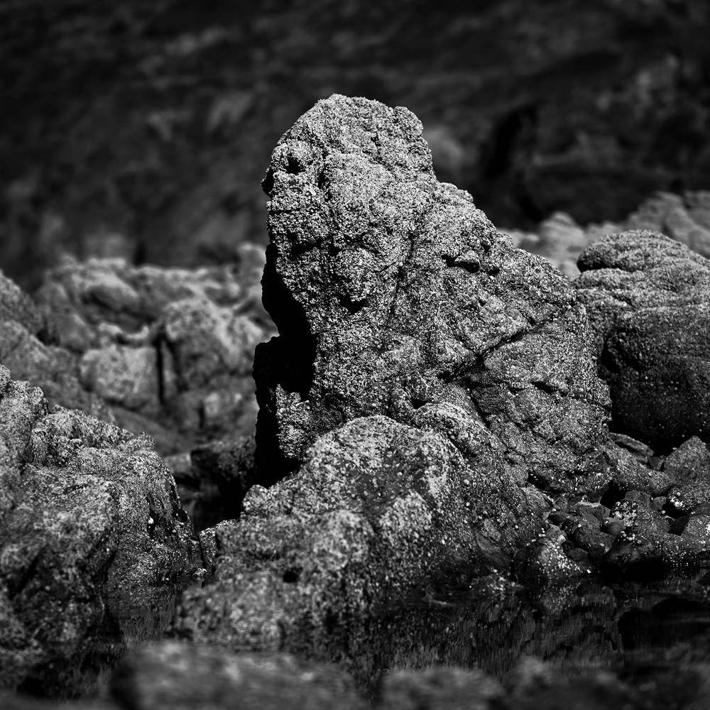 Cette exposition fût présentée lors du mois de la photographie à Equeurdreville (Cotentin) en 2014.Comme un tailleur de pierre, la nature a façonné un monde imaginaire, transformant le paysage en une oeuvre d’art équilibrée et contrôlée. Je n’ai photographié que ceux qui me parlaient, comme des apparitions fantasmagoriques, un clin d’oeil, un frisson, un sourire complice. Libre à vous de découvrir ces formes secrètes, ces visages sculptés par les éléments aux traits parfois révélateurs.