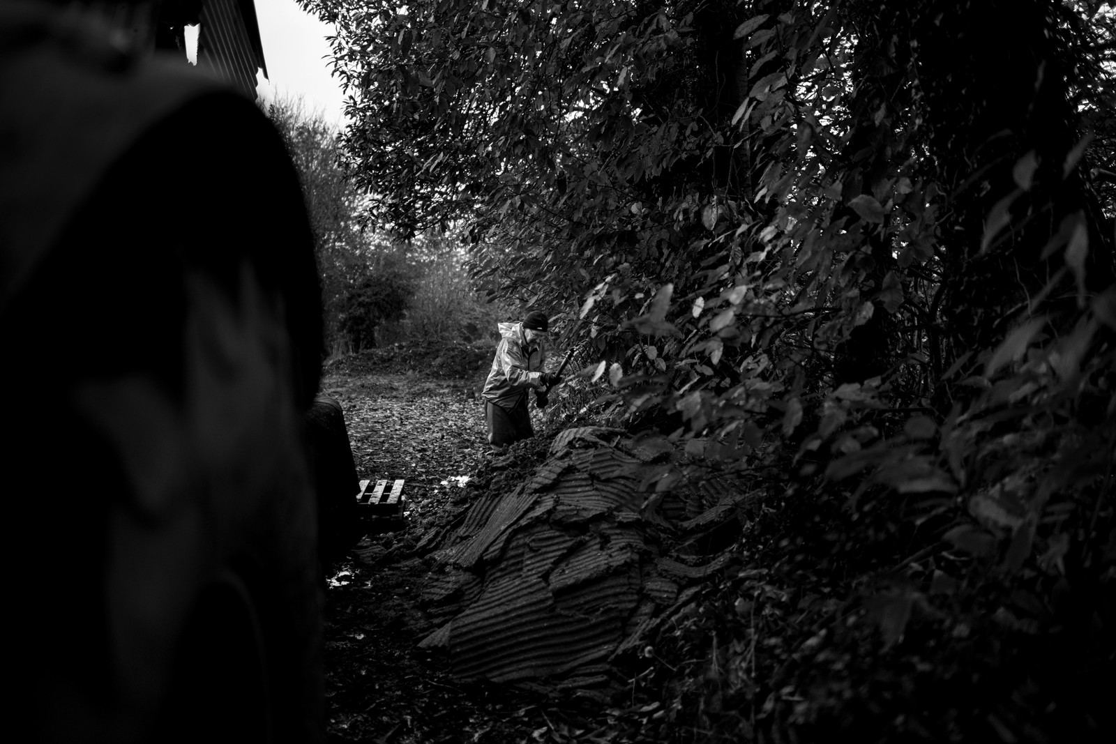 Les vergers du Clos Moulin